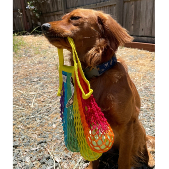 Filet à provisions petit format